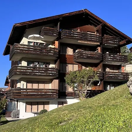 Cosy Et Idealement Situe Grachen